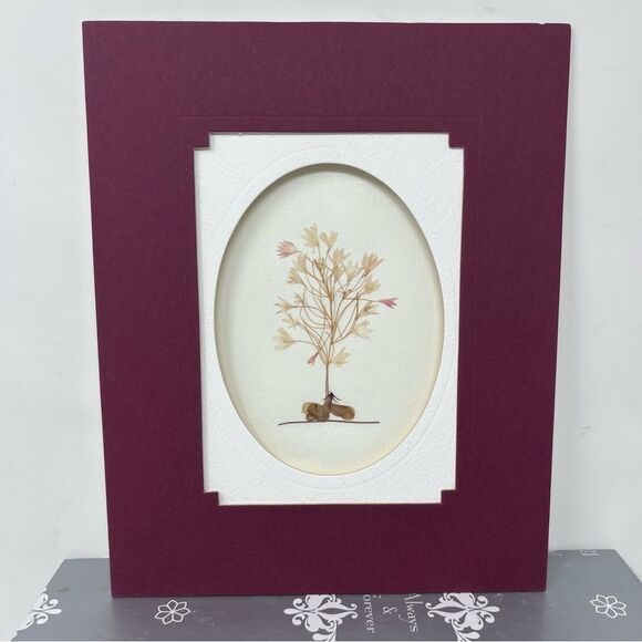 Framed Botanical Pressed Floral Art Double Matte Maine Artist - Picture 1 of 4